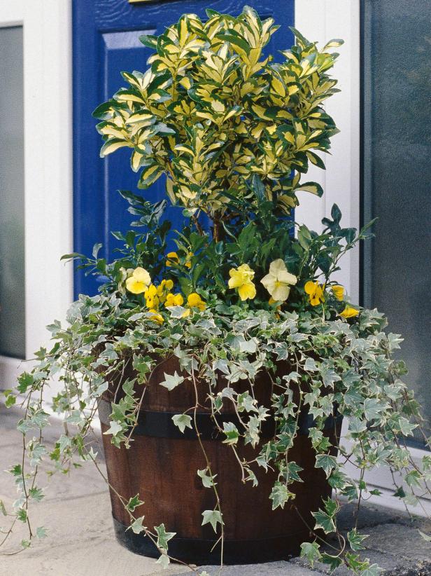 peaceofmindland's tweet photo. How are your container gardens faring this winter? Some tips to keep those plants healthy: https://t.co/TP7hM31MKU https://t.co/XAhTvx7Fkw