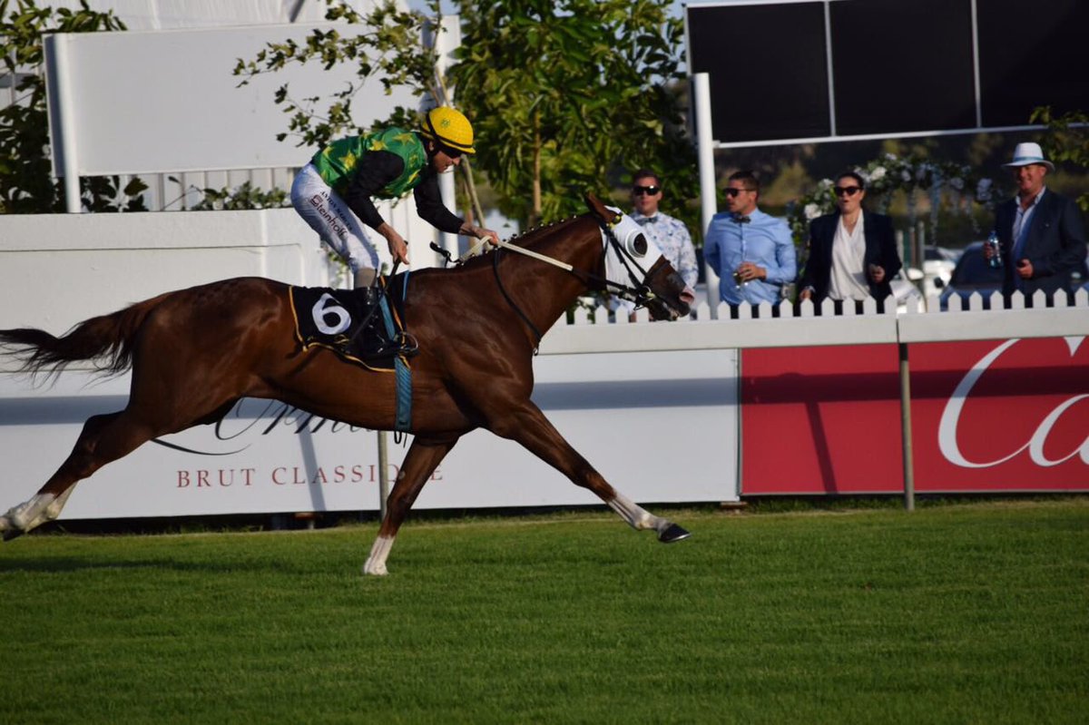 Racing Guru (@racingguru) on Twitter photo Anton Marcus completing a four-timer on the <a href="/vhmracing/">Vaughan Marshall</a> trained Elusive Path at Kenilworth today #ItsARush Anton Marcus completing a four-timer on the <a href="/vhmracing/">Vaughan Marshall</a> trained Elusive Path at Kenilworth today #ItsARush