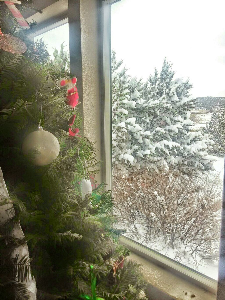 cantua1974's tweet photo. These Makes Me HAPPY!❄❄⛄⛄
#Colorado2015 https://t.co/DWKEXcQtJB