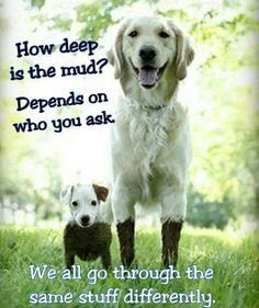 ScottSportPsy13's tweet photo. Seek to understand, not to respond. We all go through our own adversity in life. #Listen https://t.co/m1jQDFK58A