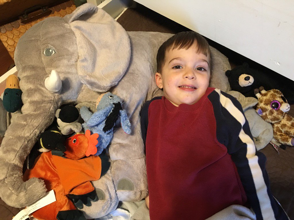 mrskatie's tweet photo. Because 1 stuffed animal isn't enough. #8showing #9total https://t.co/sj29R6HFbU