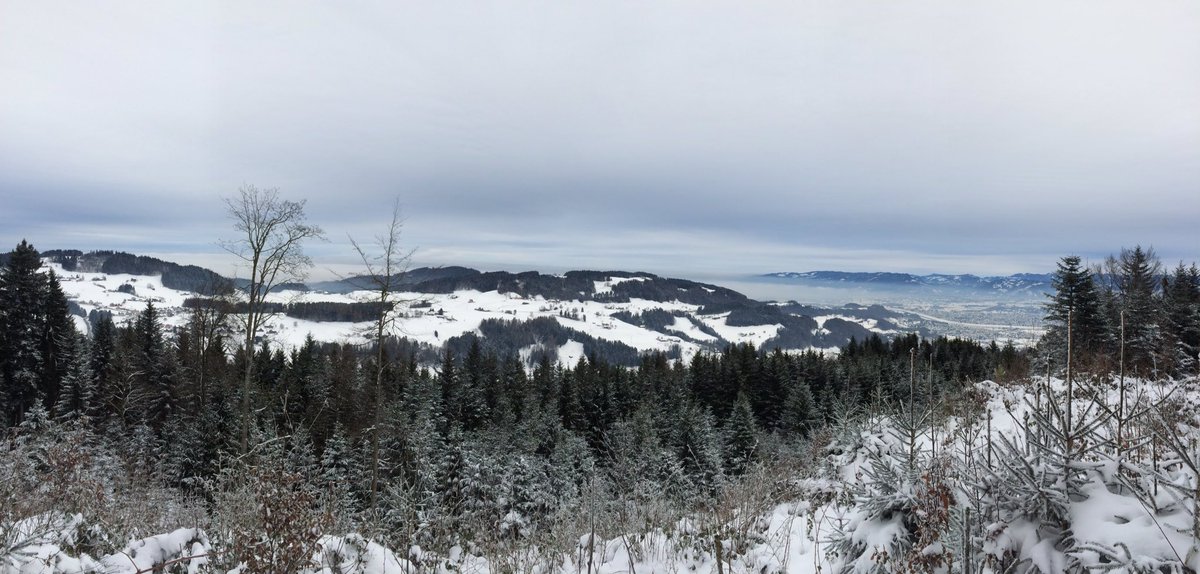 sandro_w_hess's tweet photo. #Winterspaziergang #Schneewanderung heute Nachmittag, Gebiet #StAnton #Fegg #Steingocht #Oberegg m.Blick aufs weisse #Rheintal & #Vorarlberg https://t.co/gn7cAv6MUx