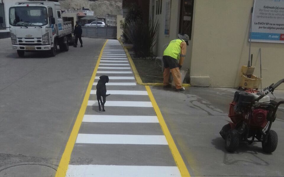 acastropiedra's tweet photo. Hoy seguimos señalizando los centros d Revisión Técnica Vehicular para su inicio el 12 de enero. @emov_ep #PasoZebra Usemos los pasos zebras https://t.co/tp53LOLNT4