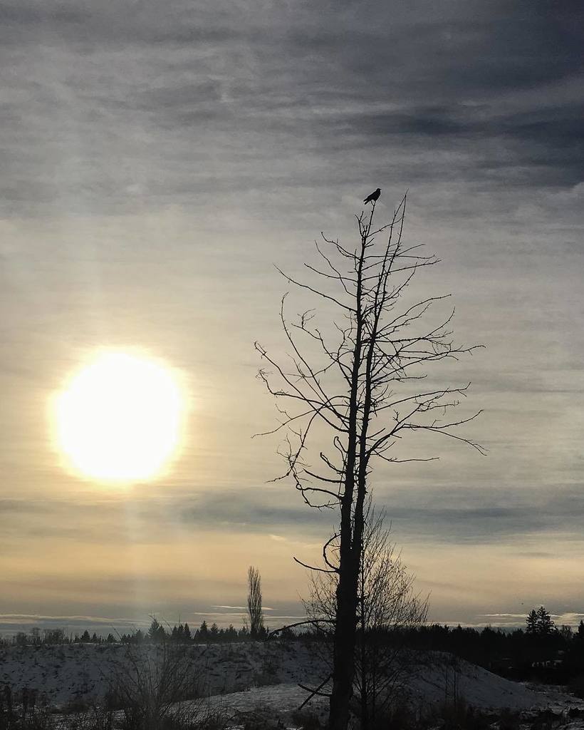 wlk92's tweet photo. Enjoying the Morning Sun #iphoneography #driveby #wentback And pulling the car over on cru… https://t.co/LdzNGWWUFg https://t.co/aetUzMwkv0