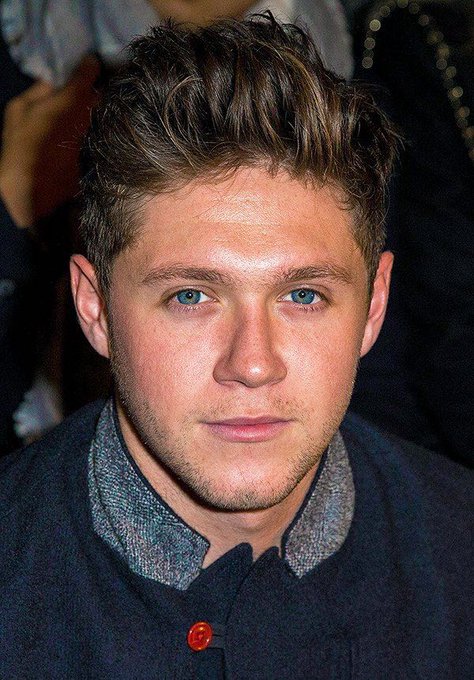 Niall Horan dyed his hair and fans are fawning over it on Twitter 