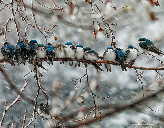 Resmi Twitter'da görüntüle