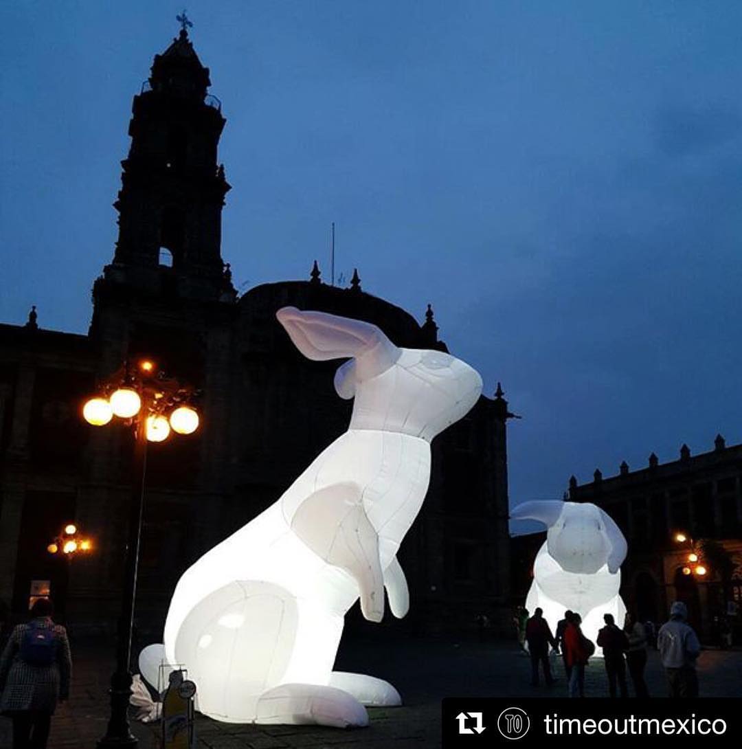 filuxmexico's tweet photo. #Galería Recordando la 'intromisión' de los conejos monumentales de Amanda Parer durante #FILUX2016 🐇🇦🇺 https://t.co/Q04v493AK4 https://t.co/5kSGsAb9j8