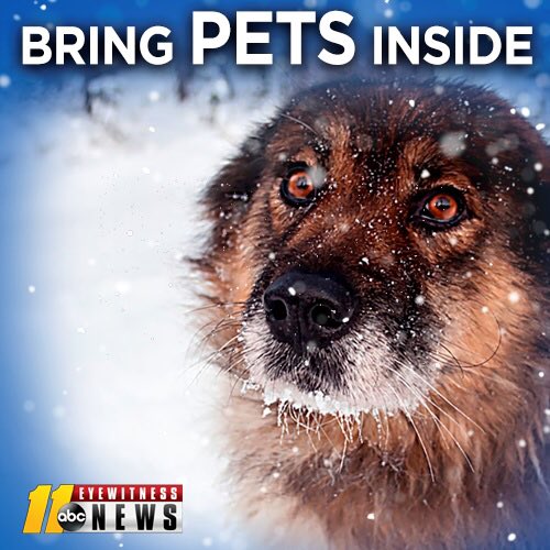 BigweatherABC11's tweet image. Please do not leave them outside tonight (or Sun &amp;amp; Mon).  If you do, it's animal abuse. Period. Feel free to retweet...