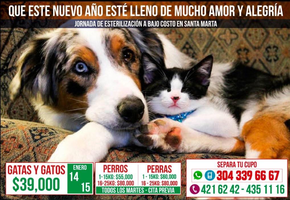 fmariposasa's tweet photo. Primera jornada de #esterilizacion en #santamarta gracias a todos por ayudarnos a difundir @1FundacionAMA @PentecostesSTM @SantaMartaTW https://t.co/MGGs6UcgH8