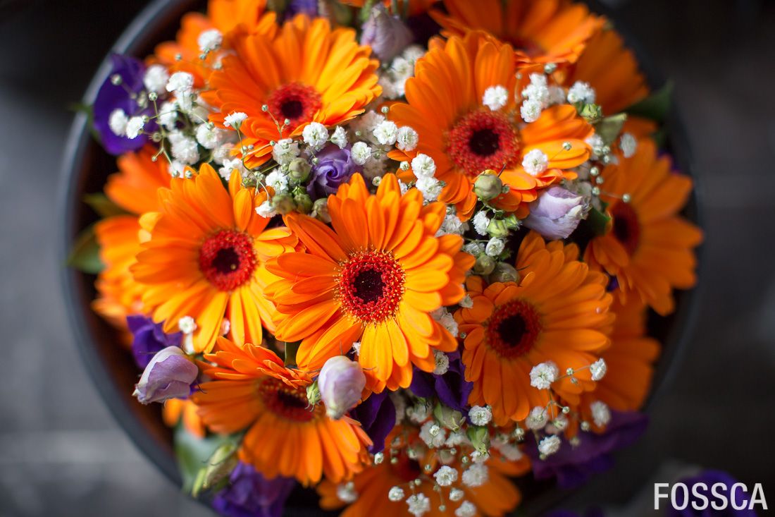 Fossca's tweet image. More @boutipi! This time nestled in a clearing in the woods. With catering by @2chefs_beverley
bit.ly/2ijdOUo