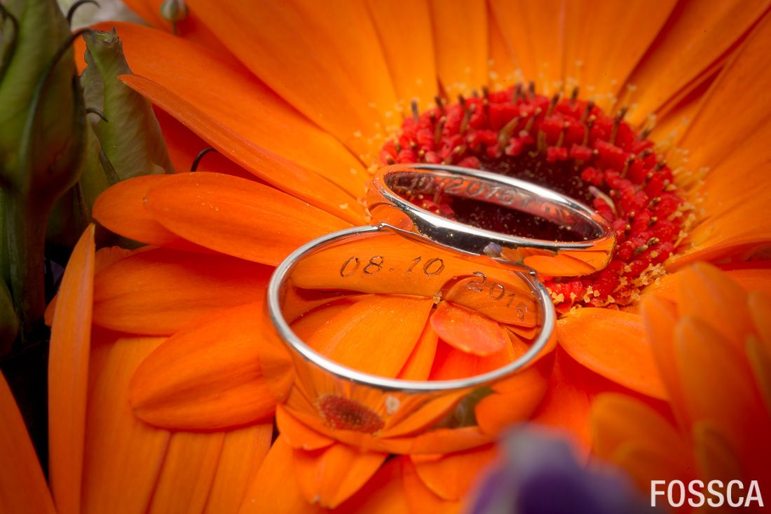 Fossca's tweet image. More @boutipi! This time nestled in a clearing in the woods. With catering by @2chefs_beverley
bit.ly/2ijdOUo