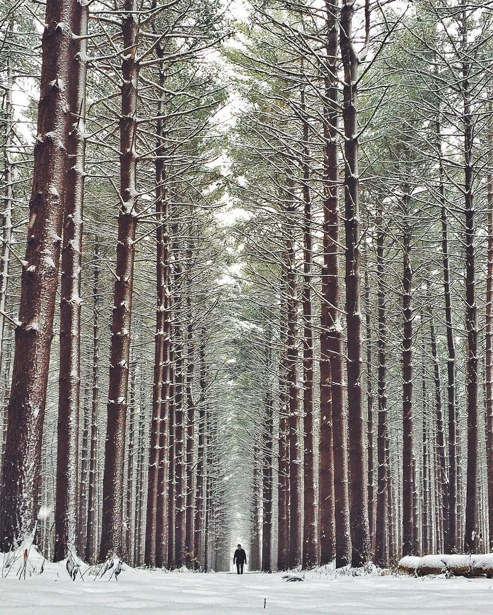 Oak Openings Preserve Metropark