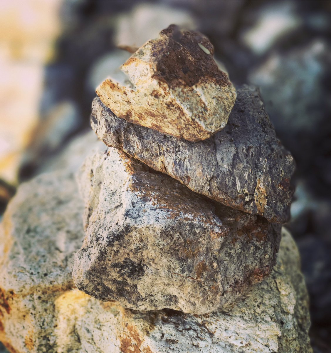 SpecialFeather's tweet image. Starting the #tinytreasure project for 2017. Photos of tiny cool things in #Tucson.