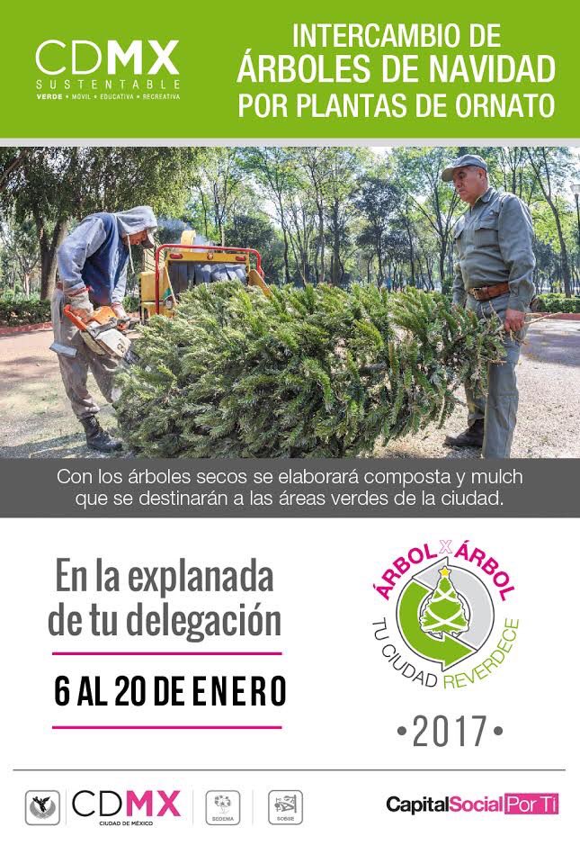 Joel A.Tovar Velasco tweet media