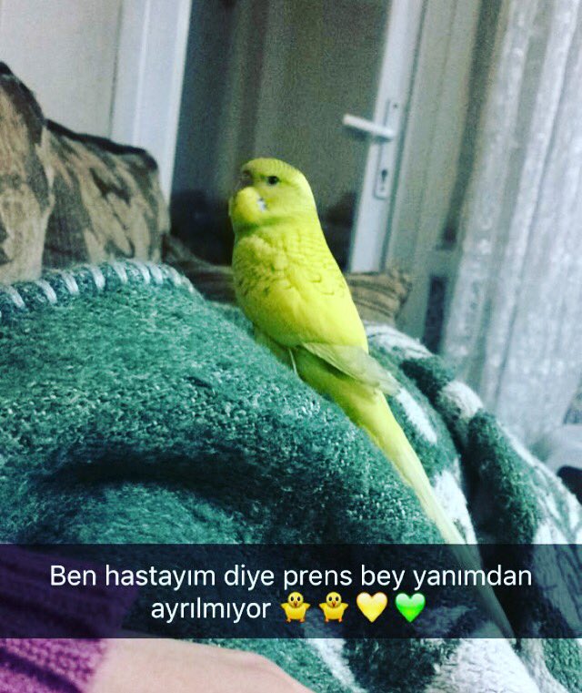 mervetekelii's tweet photo. https://t.co/xSmwCNK1vY