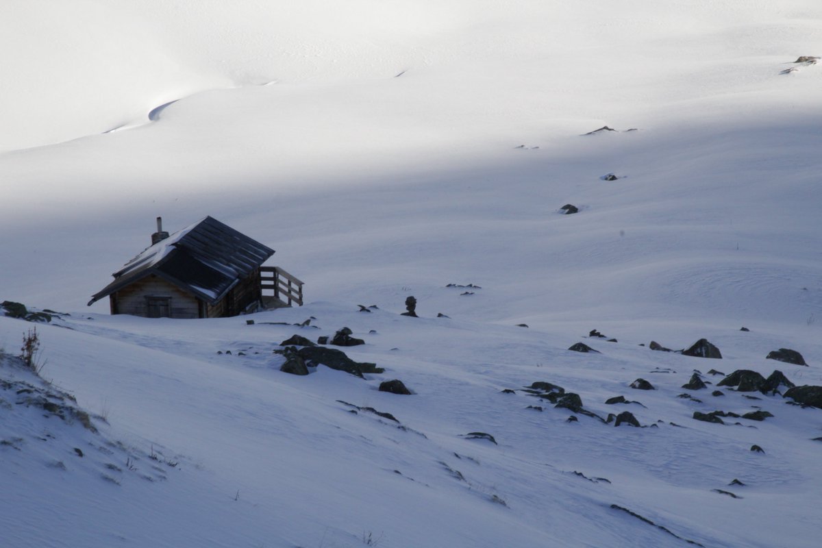 DancingPolygon's tweet image. tmblr.co/Zb5tei2Gt1bdr  - Head of Stone // Dancing Polygon  #photography #atmosphere #winter #nature