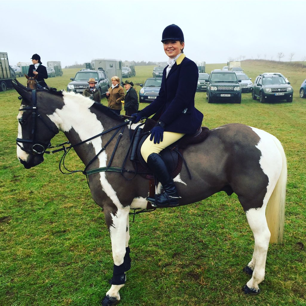 IrishAgent's tweet photo. Today's mount! #littleirishcob #hunter https://t.co/WcAvaSYYZ8