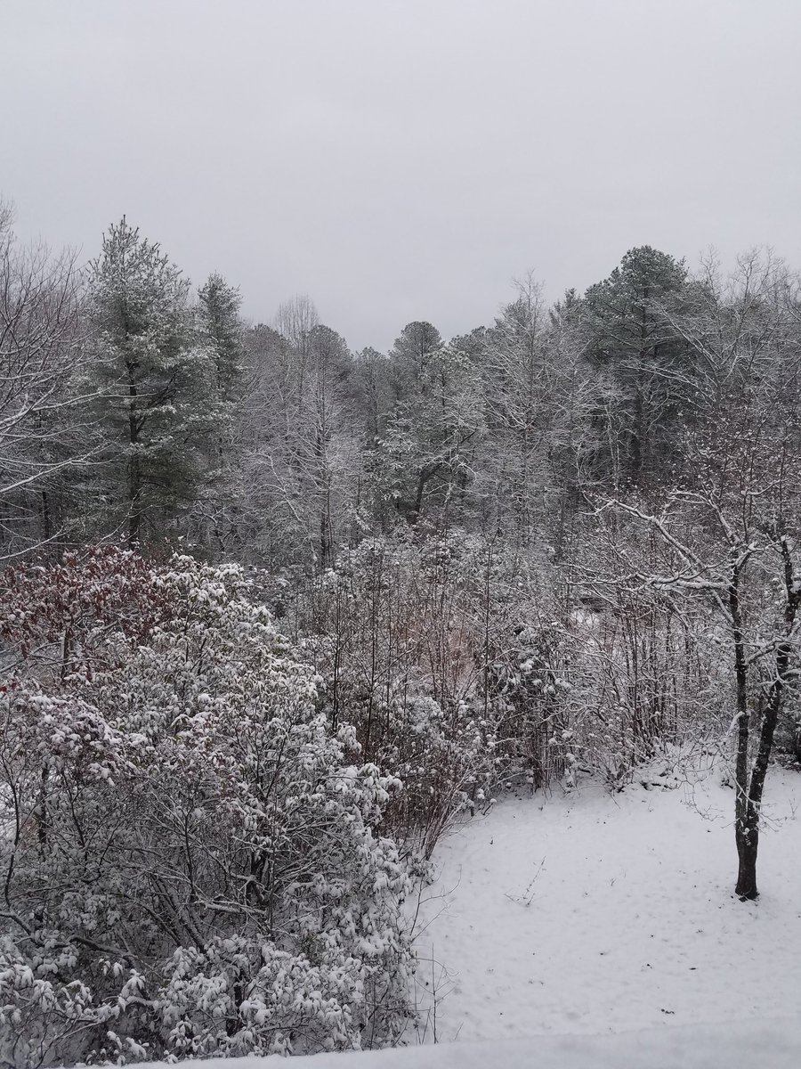 melorise12's tweet photo. First snow with my Melanie, starting our new life in North Carolina https://t.co/HgLwvKtXpI