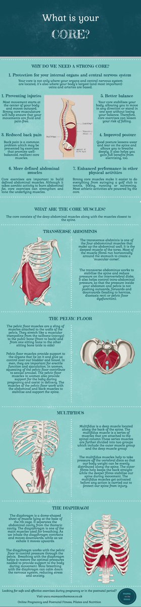 MamaOnTheMoveUK's tweet photo. Your #core #whatisitgoodfor? Check out our #infographic on the #coremuscles. #pregnancyexercise #fitmummy https://t.co/vZhU9yTN3b https://t.co/31TpyLLpZE