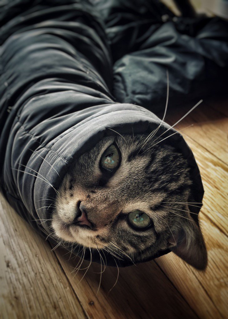 closedoordesign's tweet photo. I fit before the holidays https://t.co/4g9ZWhbGgG