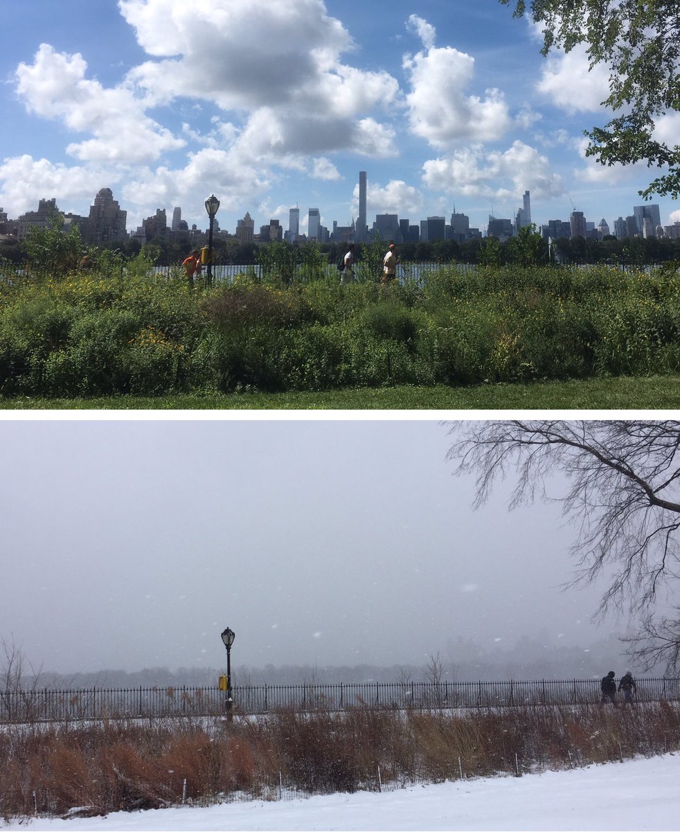 EGuedel's tweet photo. Été (août 2016)
Hiver (aujourd'hui)
Central Park, NY. https://t.co/uUVUFrkvGn