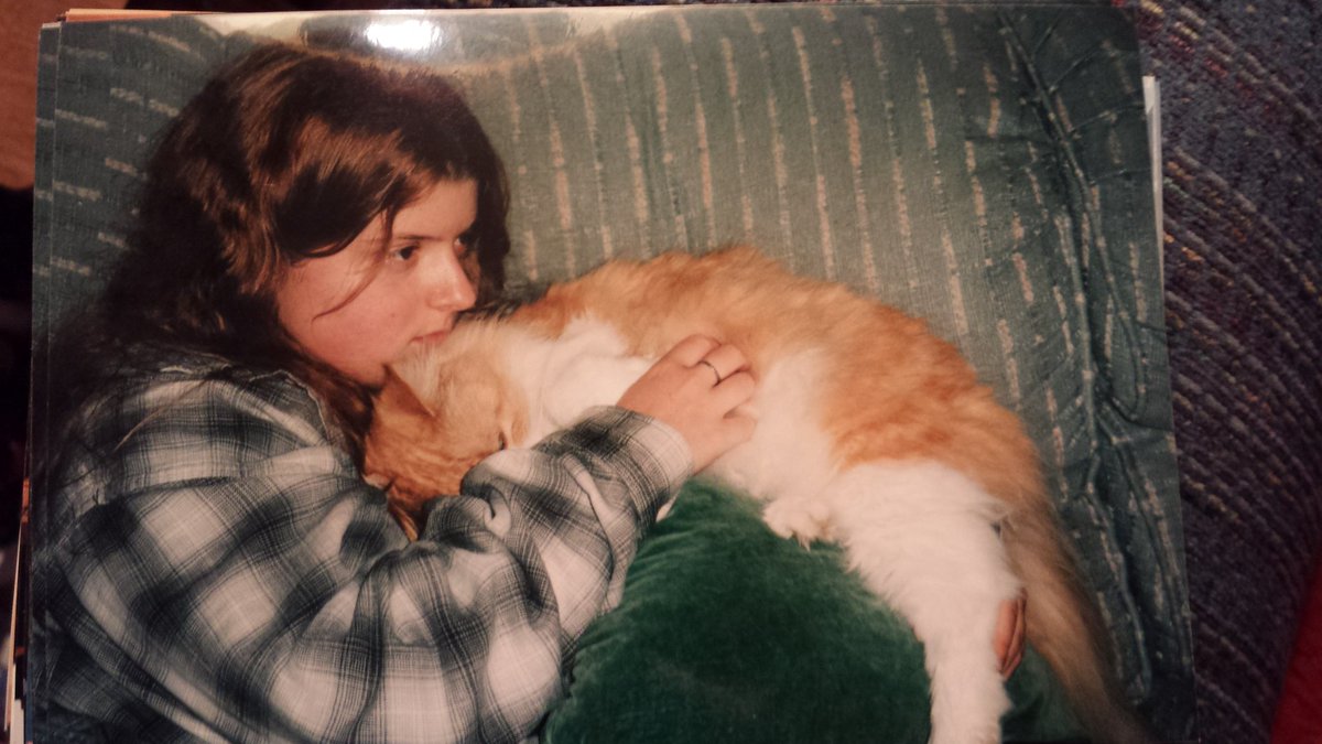 CrashDisaster's tweet photo. @AndreaH1337 @bobaflex @martymccoy78 ha! Or this... I had surgery on my eye and my cat, Angel was trying to heal me. #DrKitty https://t.co/8yQ0qmR95A