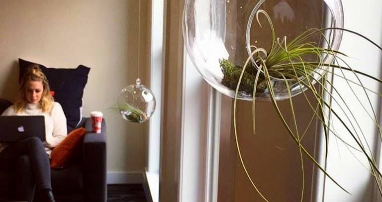 BuiltInColorado's tweet image. Don't abandon your resolution just yet — these 7 Colorado startups can help buff.ly/2jbZKMb