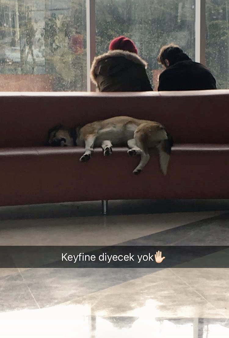 Başkent üniversitesi kütüphanesi 🙆🏻💕 #KışKahramanları