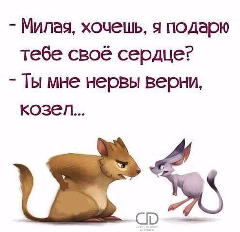 Марина Герко (@amentet91) on Twitter photo 