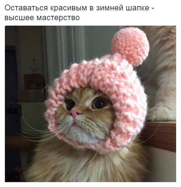 Марина Герко (@amentet91) on Twitter photo 