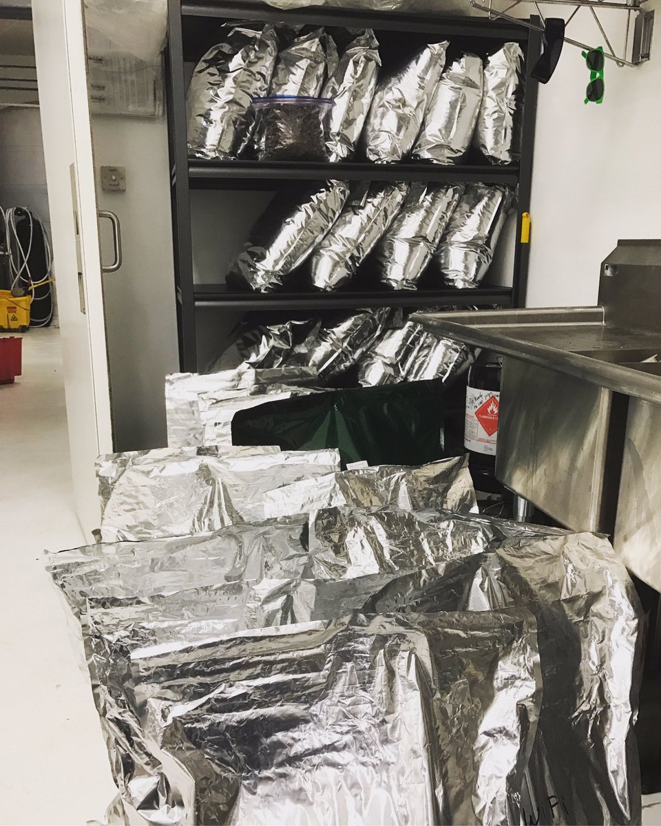 LeefOil's tweet photo. We love processing for you! #LeefOil #b2bsalesandprocessing #i502producerprocessor #co2oil #co2cartridge #tollandsplitprocessing https://t.co/zT97jtt4jQ