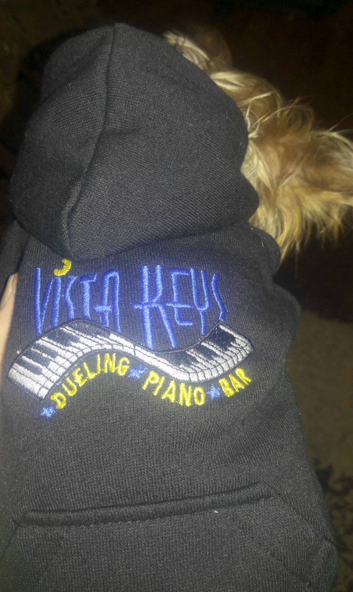vistakeys's tweet photo. The new Vista Keys mascot! He says come out tonight and ride out the winter storm with us! https://t.co/Atwdm9zupE