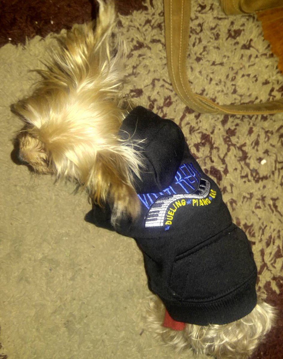 vistakeys's tweet photo. The new Vista Keys mascot! He says come out tonight and ride out the winter storm with us! https://t.co/Atwdm9zupE