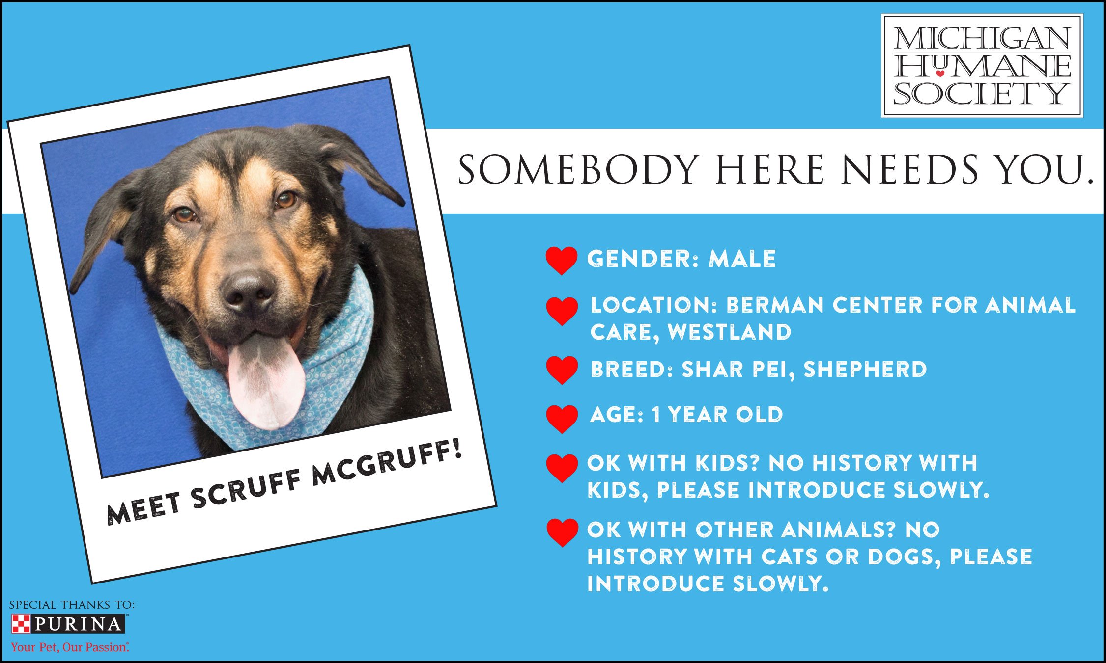 Berman center sale humane society