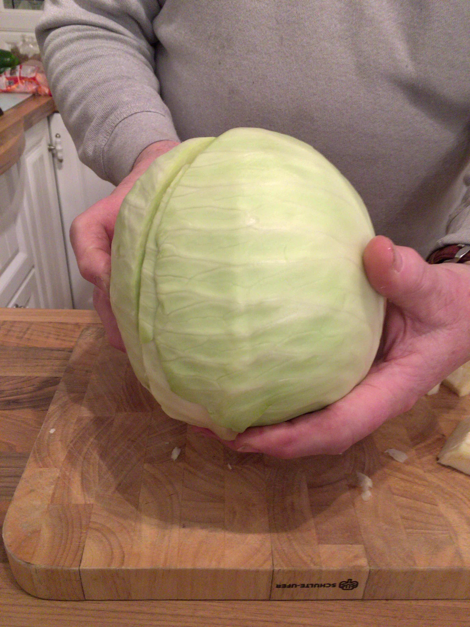 作画崩壊で有名なあのキャベツが実在したという事実ｗｗｗ