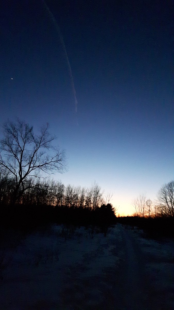 Hobo_Fit's tweet photo. Moonlit walk in the snowy woods. Medicine for the mind #silence https://t.co/bKTyDccNgS