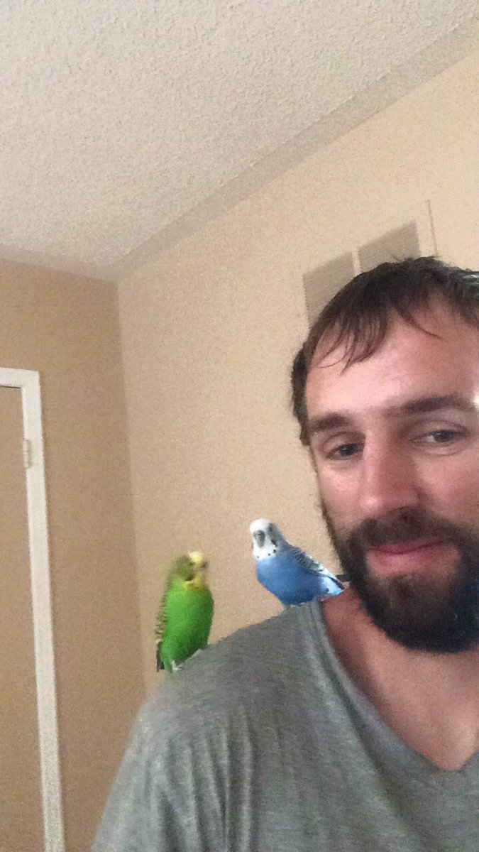 Harley__J's tweet photo. @violettegunnxo My Berb-a-lerbs. https://t.co/ACTpyERhEQ