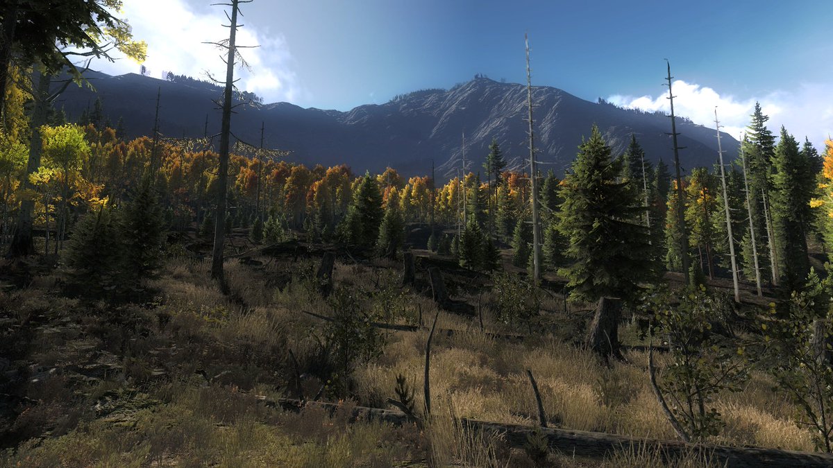 Kalti's tweet photo. #TheHunterArt #Renderography #TimbergoldTrails https://t.co/yD0JPqrXBC