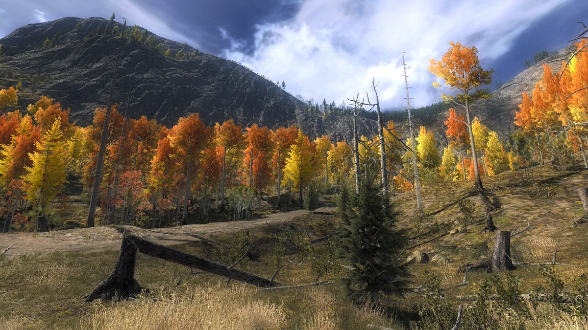 Kalti's tweet photo. #TheHunterArt #Renderography #TimbergoldTrails https://t.co/yD0JPqrXBC