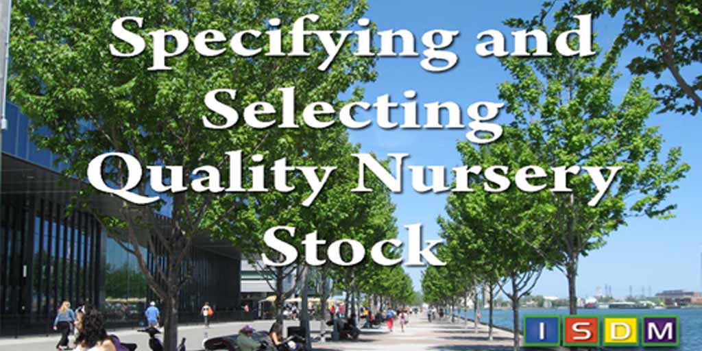 "Specifying and Selecting Nursery Stock" - course provided by DeepRoot in partnership with ISDM #Landarchitects bit.ly/25b2pIL