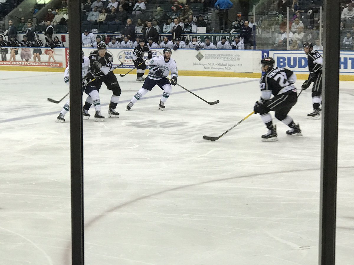 MichelleLHudson's tweet photo. Go @FL_Everblades! What a fun night! https://t.co/wWeTDJOt9U
