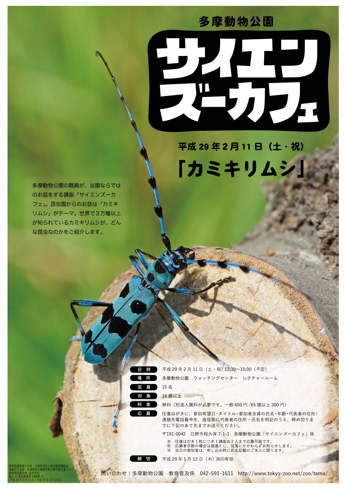多摩動物公園 公式 2 11 土 祝 にサイエンズーカフェ カミキリムシ を行います 昆虫園職員がカミキリムシについて科学的にまた飼育上での話題を皆様と語らいながらすすめる イベントです 往復はがきによる応募制で1 12消印有効です まだ席に余裕が