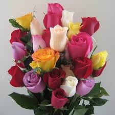 💓 s a R a v 💓 🇮🇳मेरा भारत महान🇮🇳 🥰100 K+🥰 (@r95731) on Twitter photo 