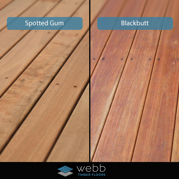 WebbT_Floors tweet picture