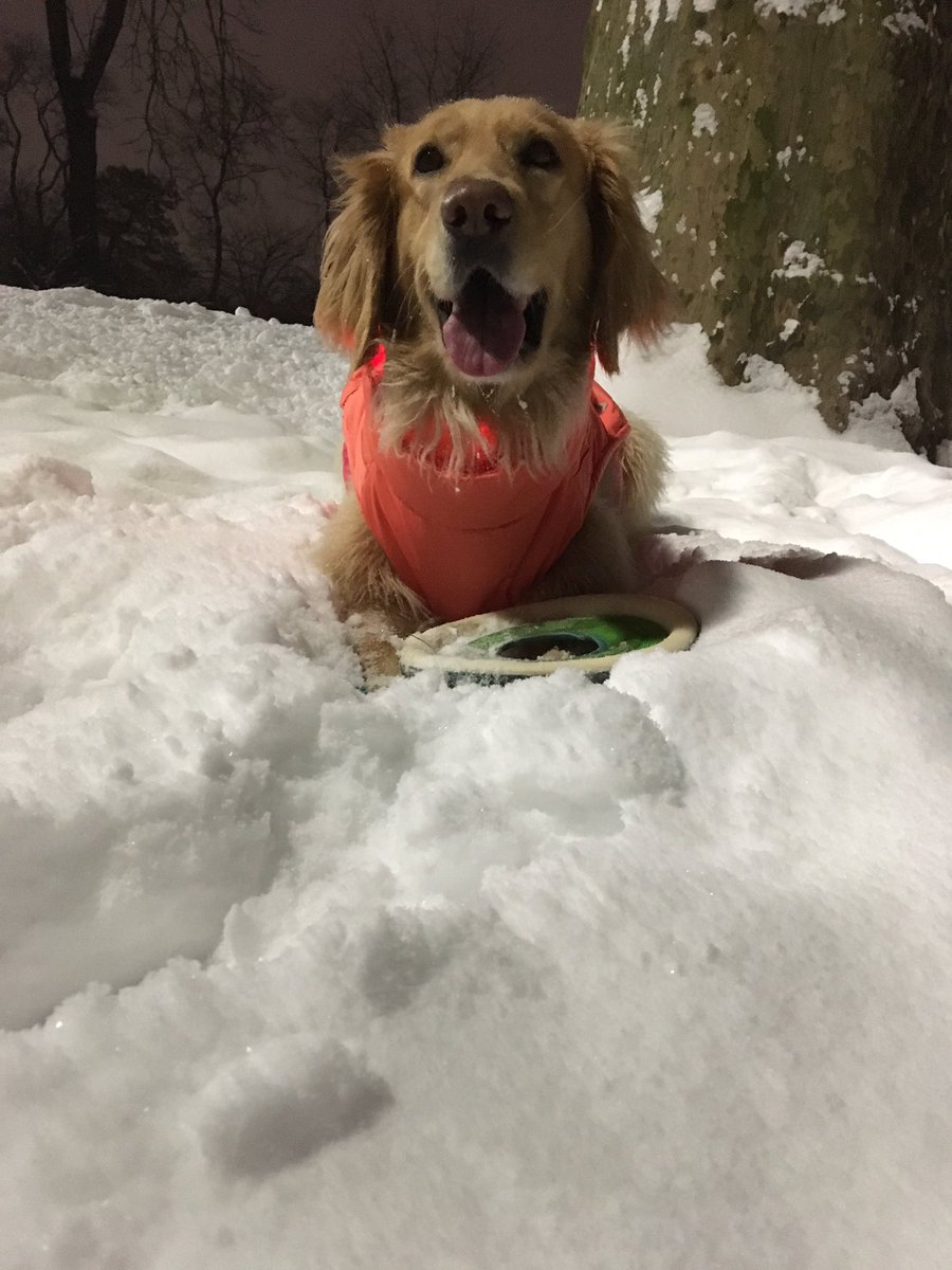 ohdaeni's tweet photo. Nina update: se divirtió muchísimo es la nieve. 
#helpninabeatcancer https://t.co/4g1wo8RjxJ
