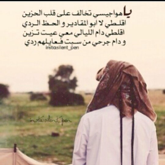 عاشقة الخيول♥♥♡ (@qifdamriijvwjzc) on Twitter photo 