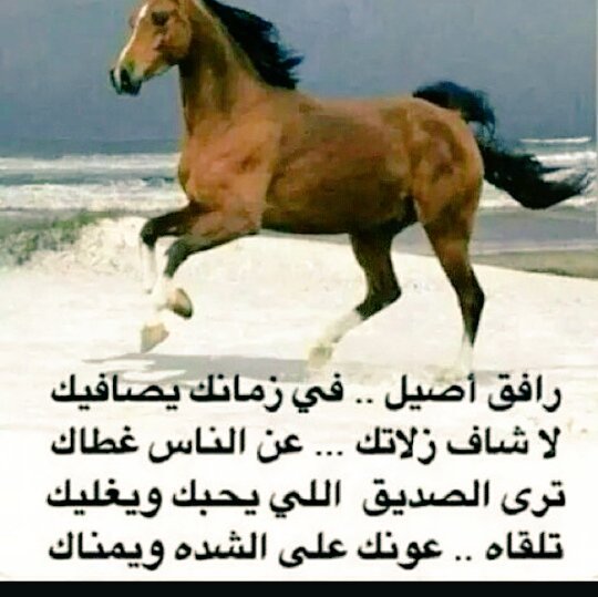 يا ليلة السفح ألا عدت ثانية***سقي زمانك هطال من الديم***ماض من العيش لو يفدى بذلت له***كرائم المال من خيل ومن نعم
  عاشقت الخيول