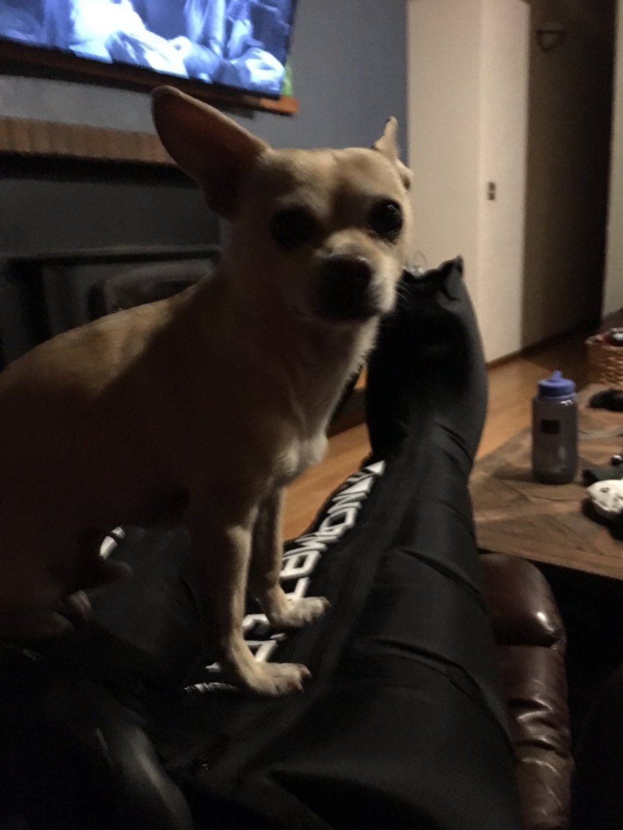 Liz West tweet media