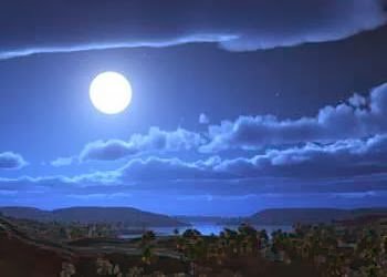 LilloMily's tweet photo. Buenas noches ! https://t.co/76xmJE5qNM