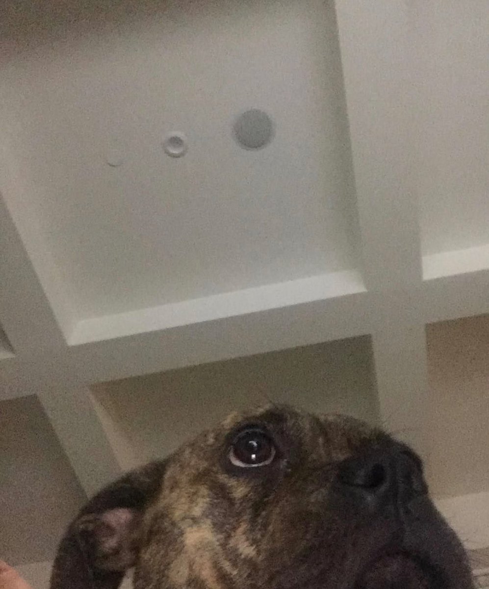 lixapphire's tweet photo. when you accidentally open the front camera... @ArianaGrande https://t.co/PcauOdzjw1